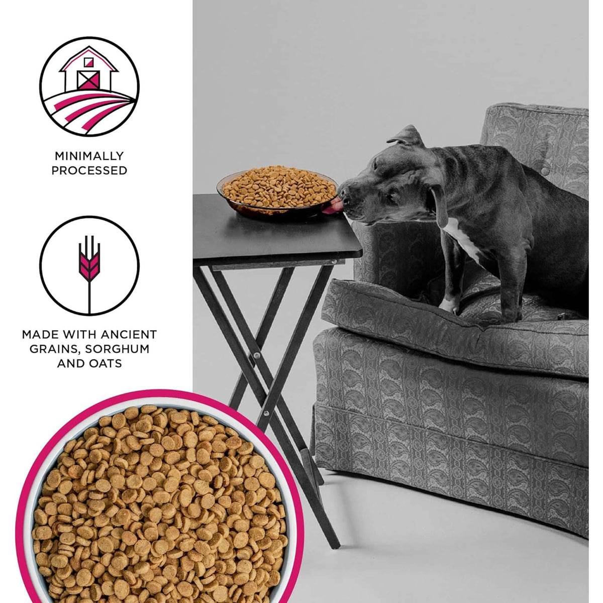 Bixbi Liberty Ranchers Red Beef, Lamb &amp; Goat Dog Food