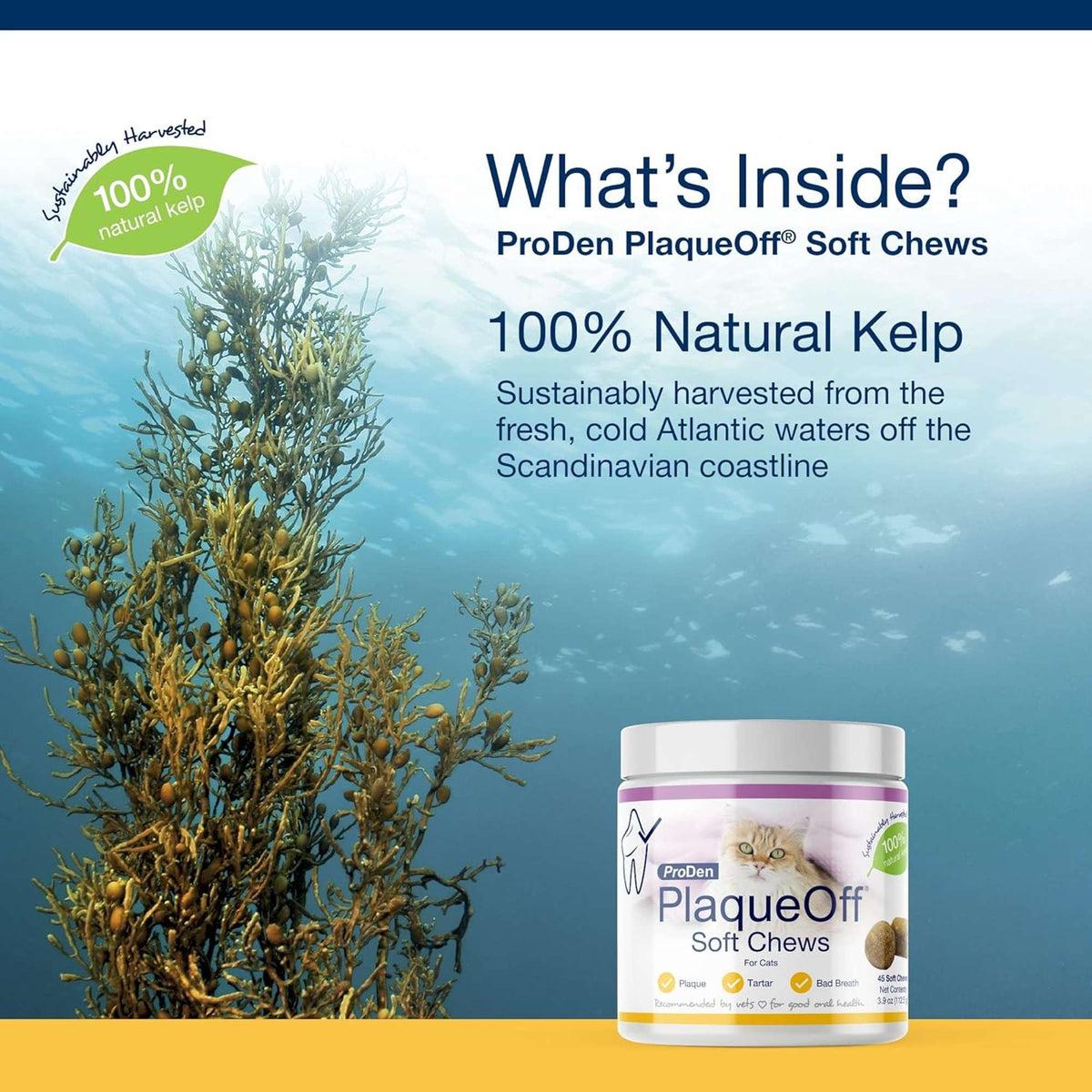 ProDen PlaqueOff Oral Care Soft Chews for Cat