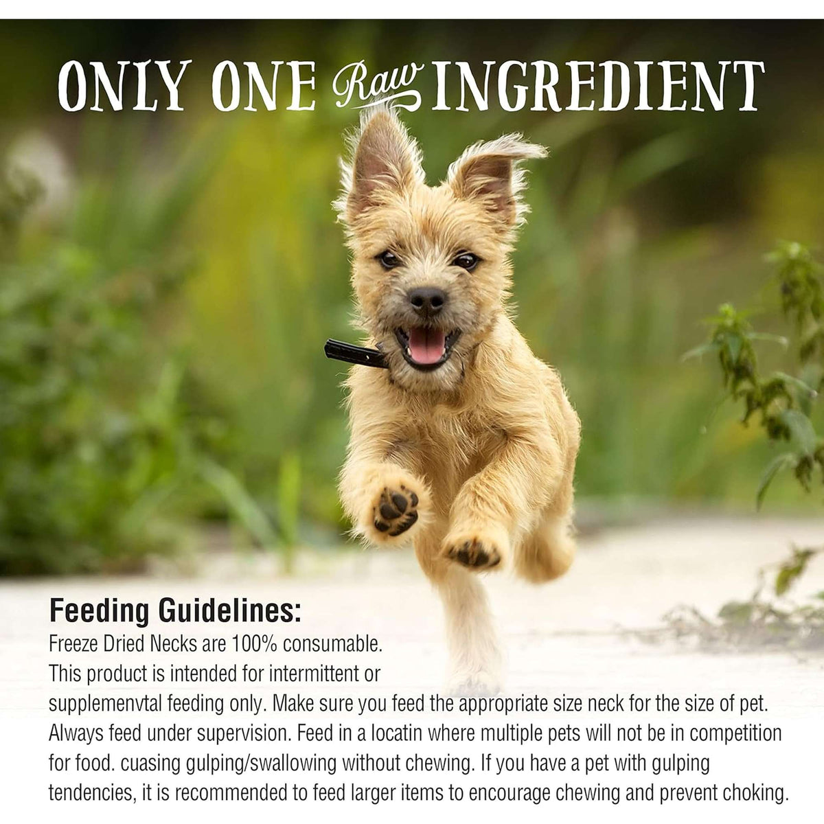 Northwest Naturals Raw Rewards Freeze-Dried Chicken Necks Dog &amp; Cat Treats