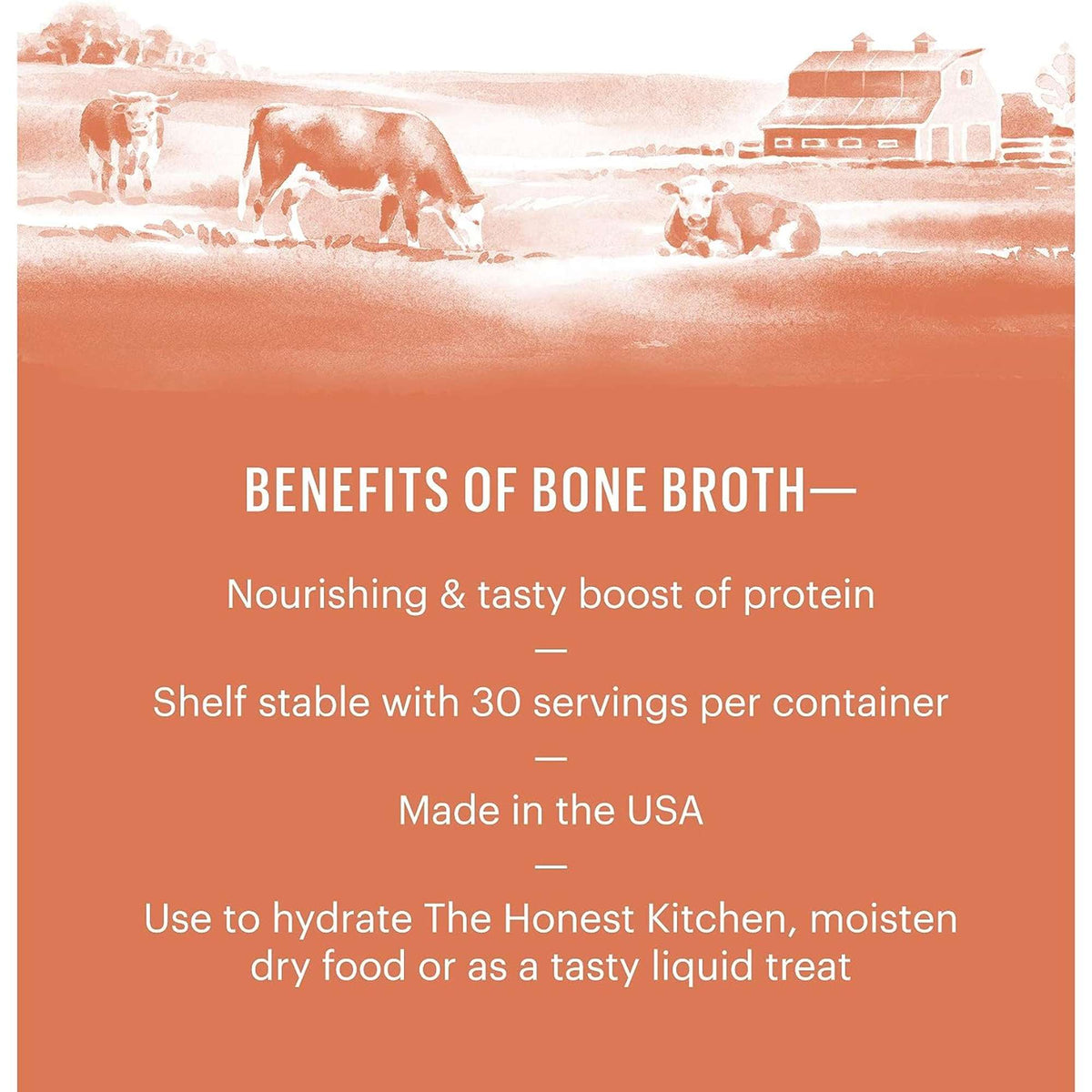 The Honest Kitchen Daily Boosters Instant Bone Broth Beef with Turmeric Dog &amp; Cat Supplement
