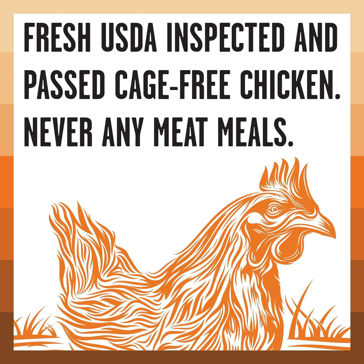 Bixbi Rawbble Freeze-Dried Raw Coated Grain Free Chicken Dog Food