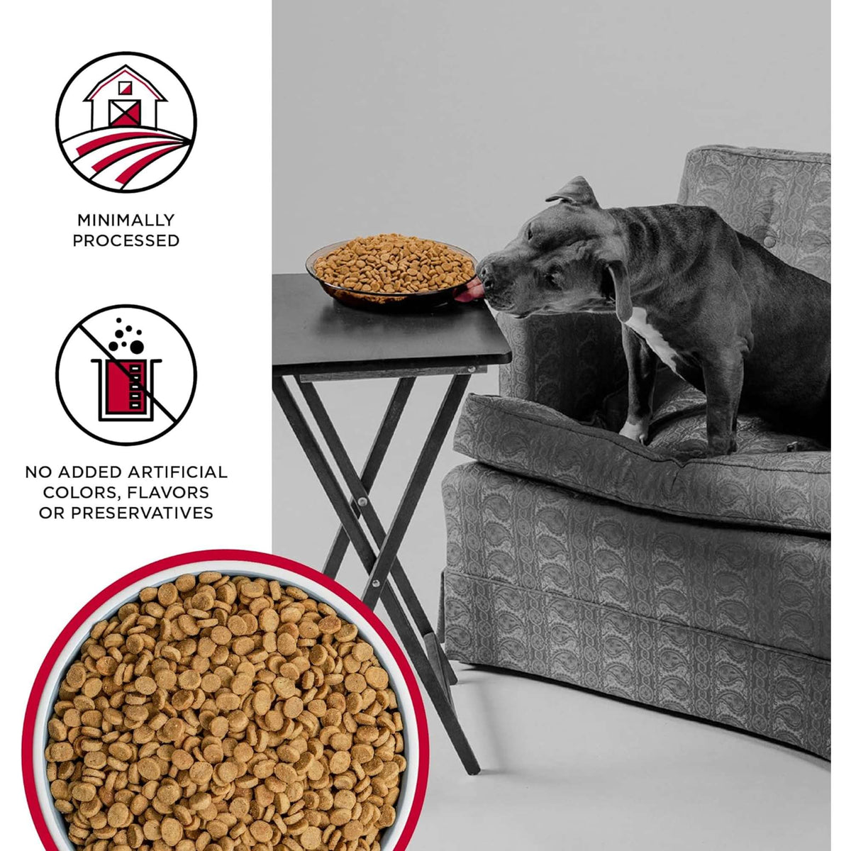 Bixbi Liberty Grain Free Beef Dog Food