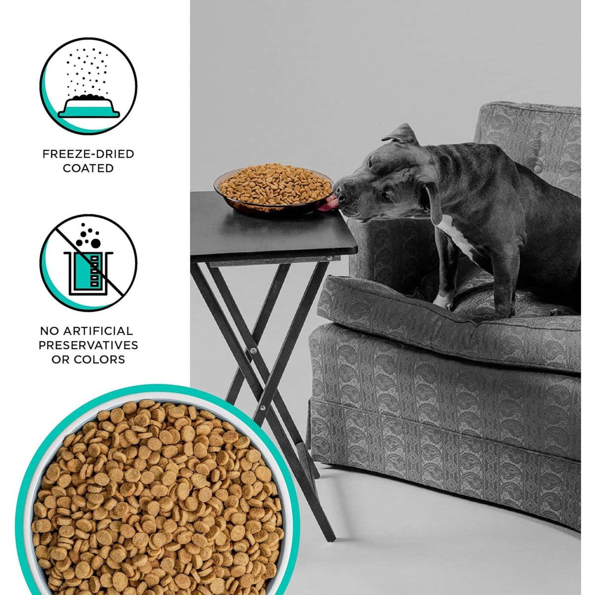 Bixbi Rawbble Freeze-Dried Raw Coated Grain Free Duck Dog Food