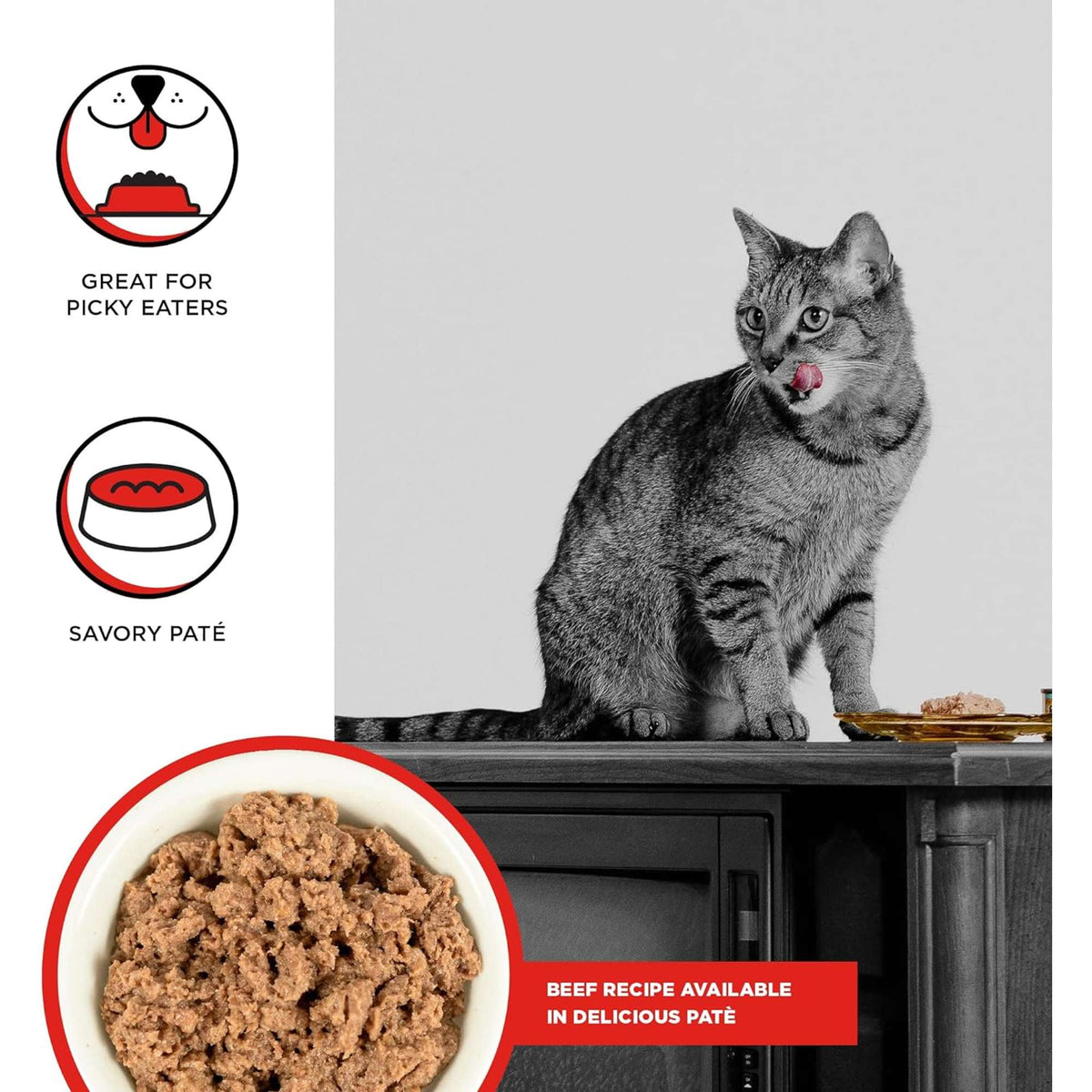 Bixbi Rawbble Paté Grain Free Beef Canned Cat Food