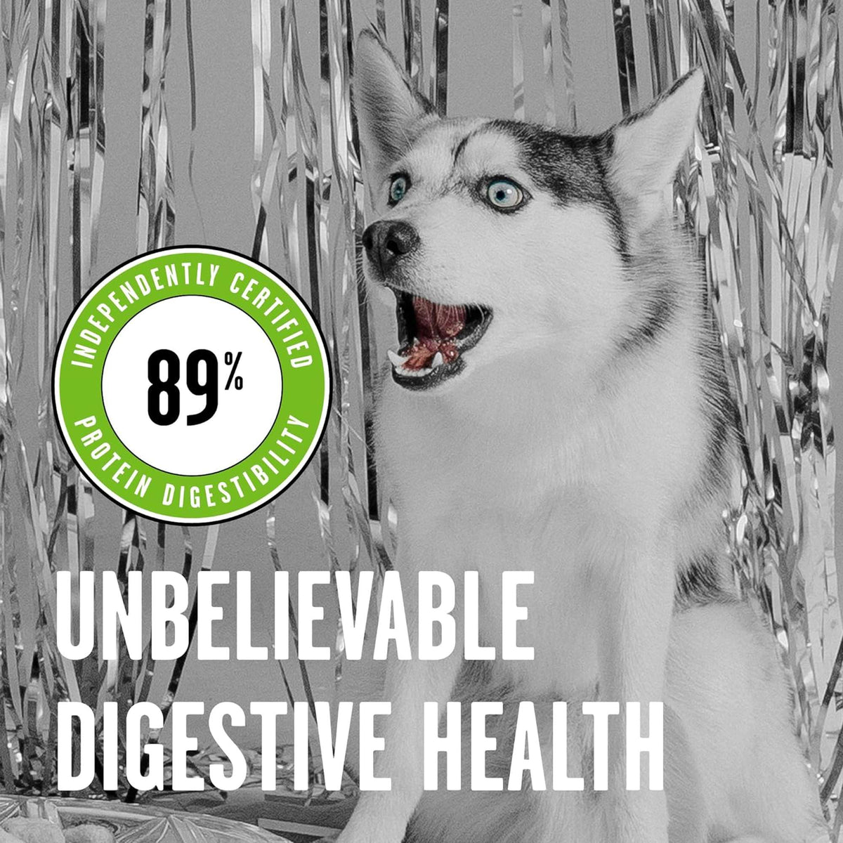 Bixbi Rawbble Freeze-Dried Raw Coated Grain Free Pork Dog Food