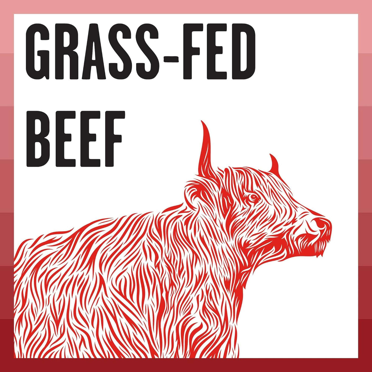 Bixbi Rawbble Paté Grain Free Beef Canned Cat Food