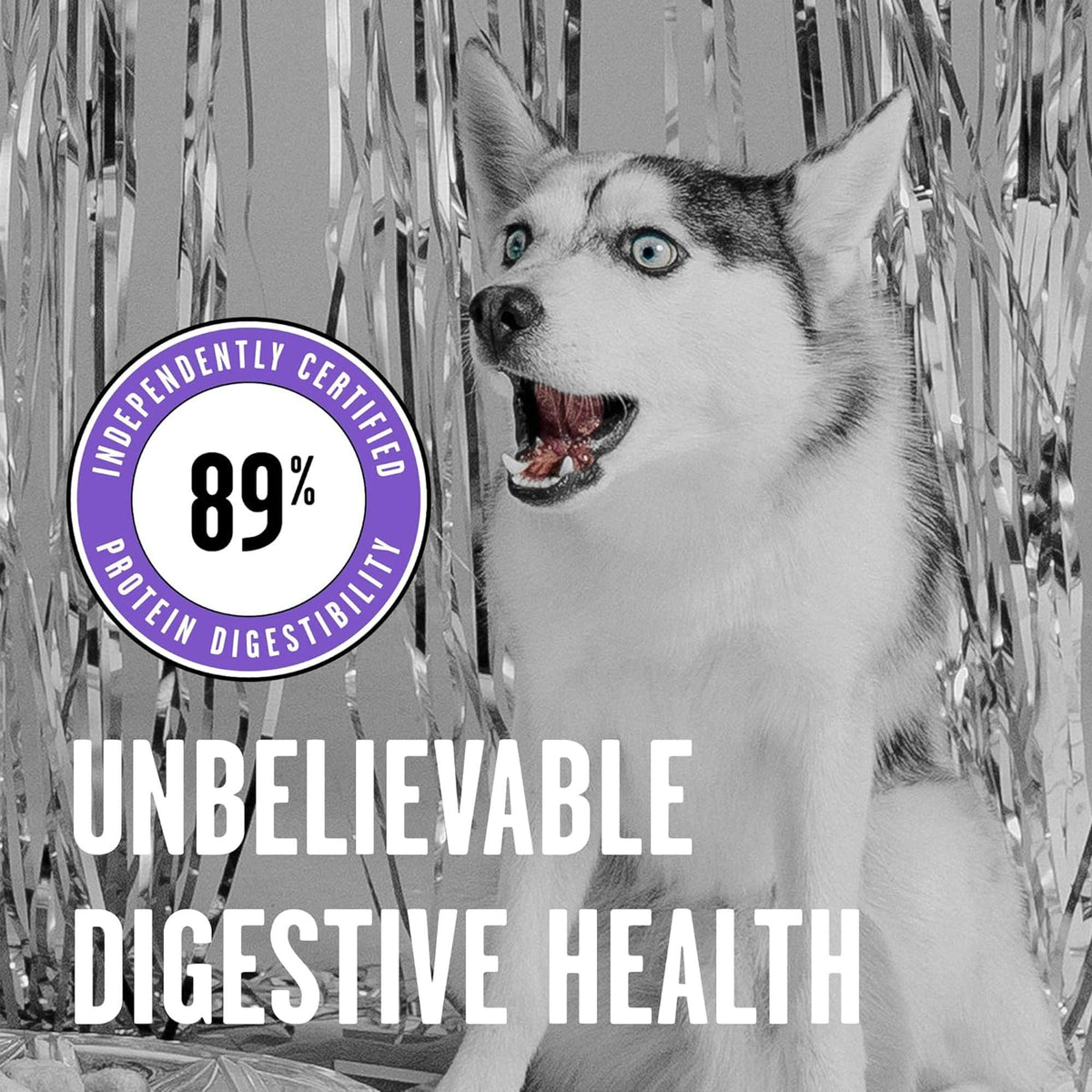 Bixbi Rawbble Freeze-Dried Raw Coated Grain Free Lamb Dog Food
