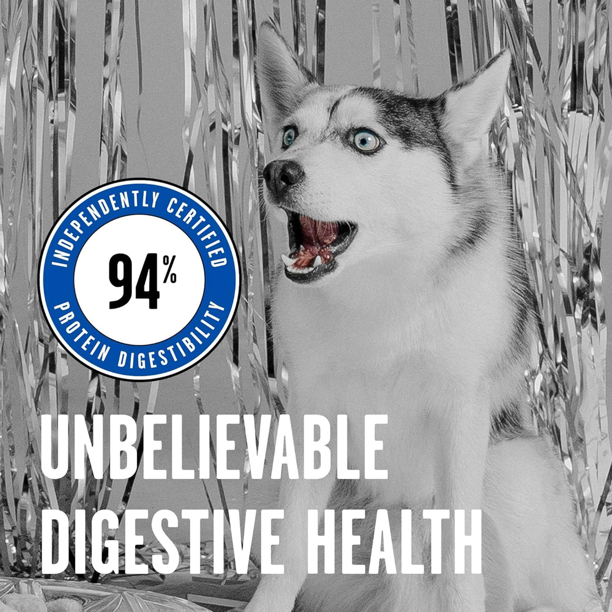 Bixbi Rawbble Freeze-Dried Turkey Dog Food