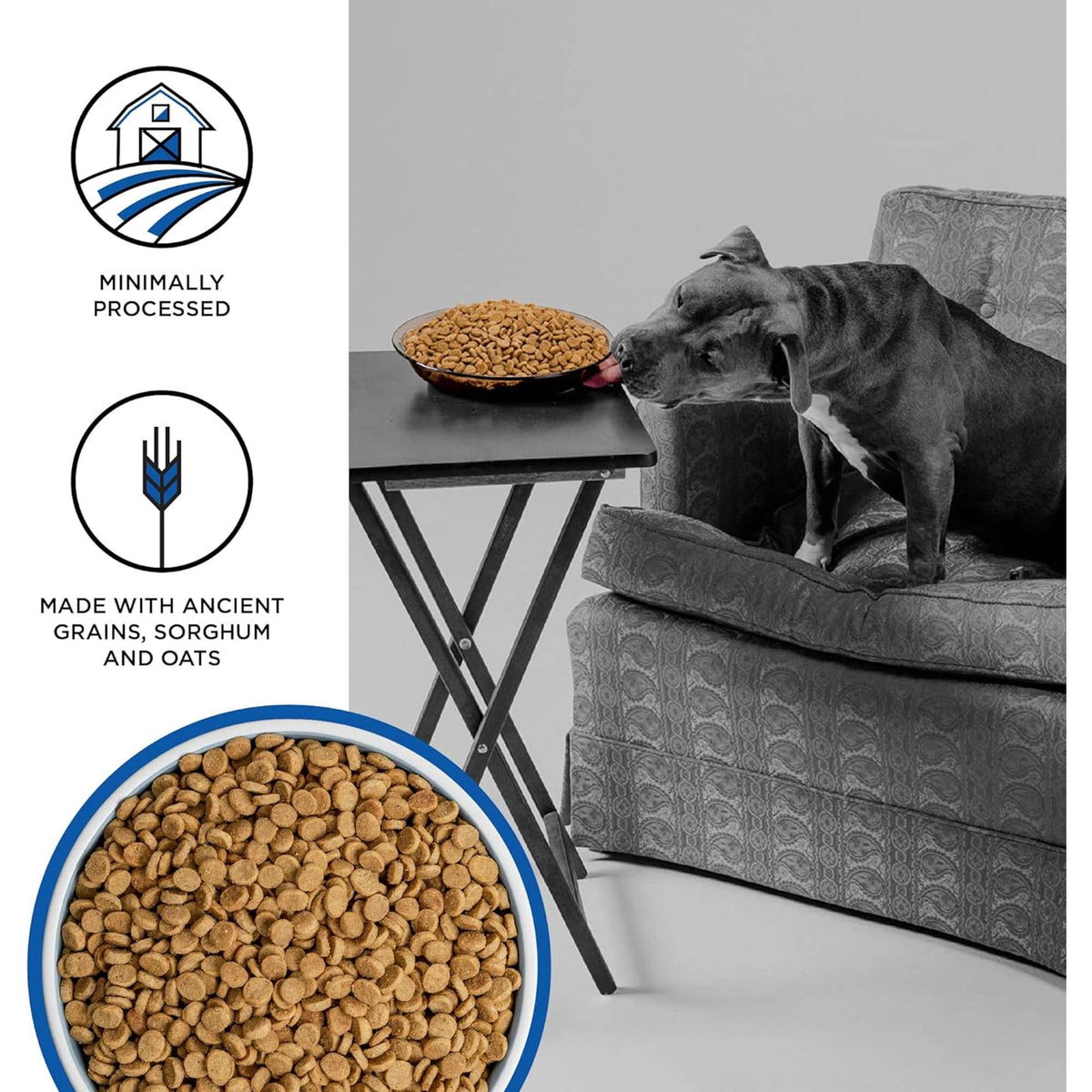 Bixbi Liberty Game Bird Feast Dog Food