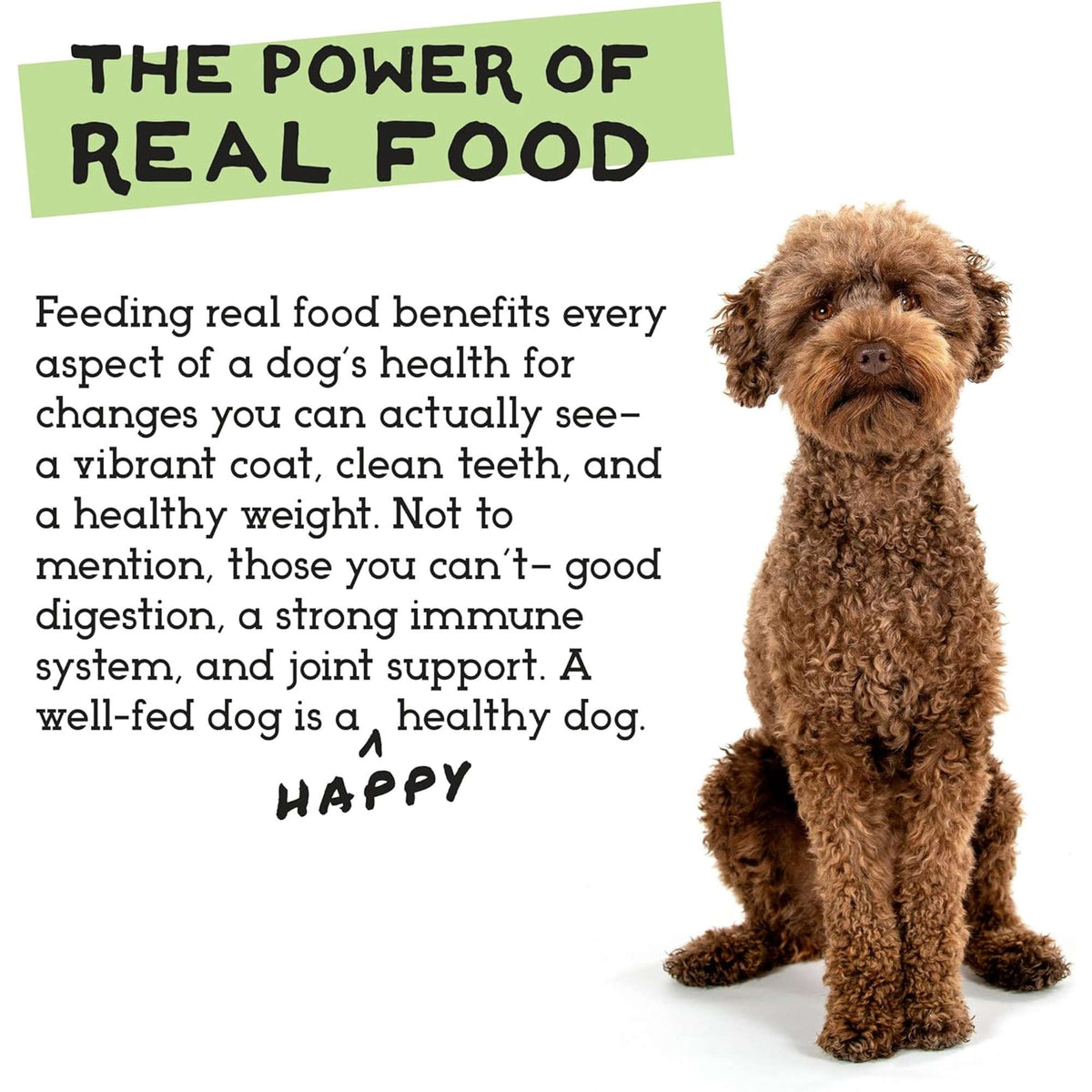 The Simple Food Project Beef &amp; Salmon Freeze-Dried Dog Food