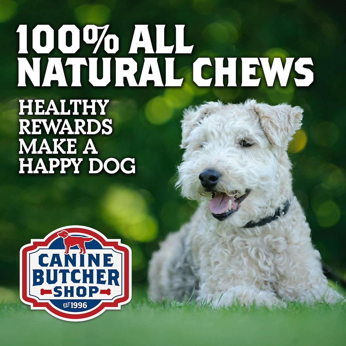 Canine Butcher Shop Grass-Fed Beef Trachea Dog Chew