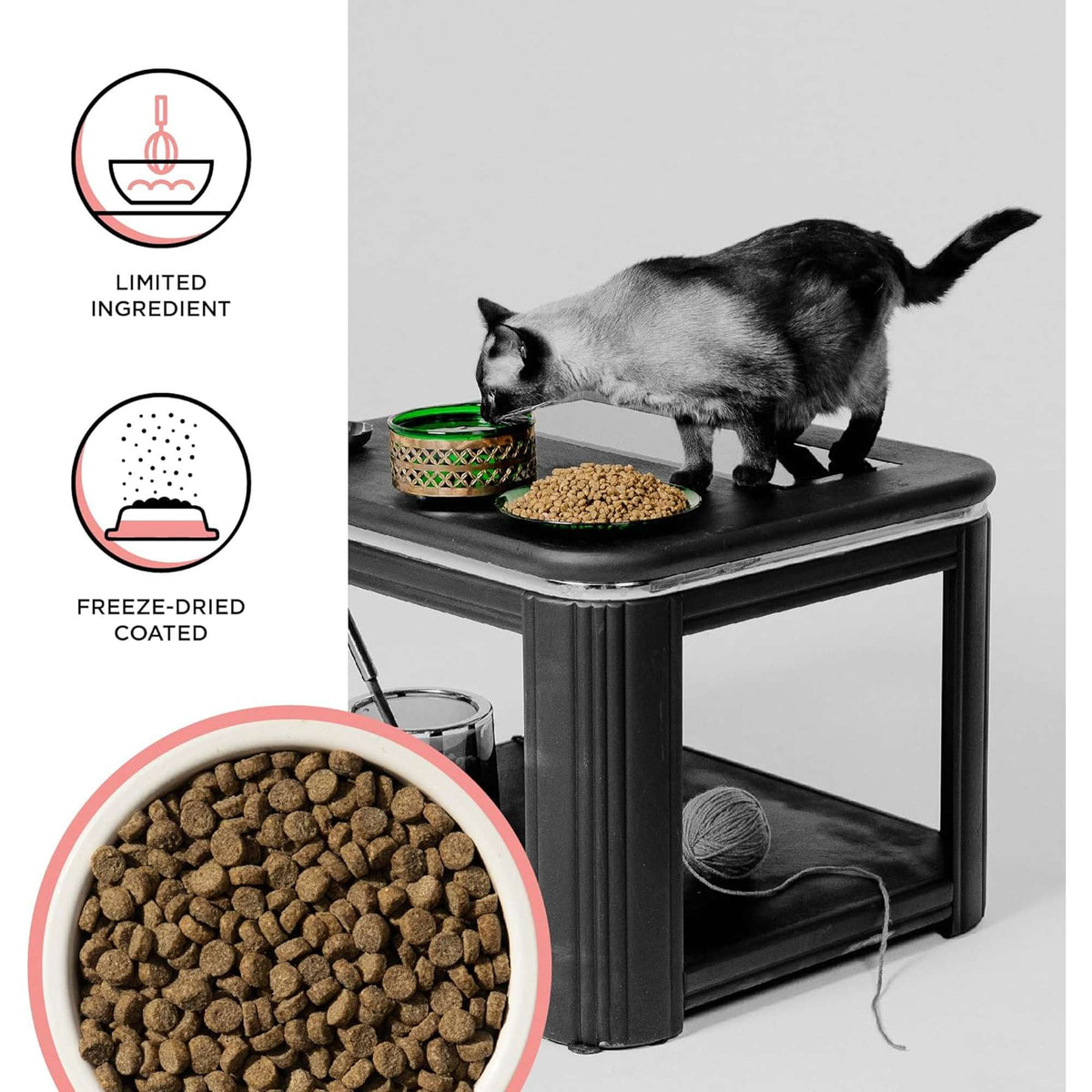Bixbi Rawbble Freeze-Dried Raw Coated Grain Free Salmon Cat Food