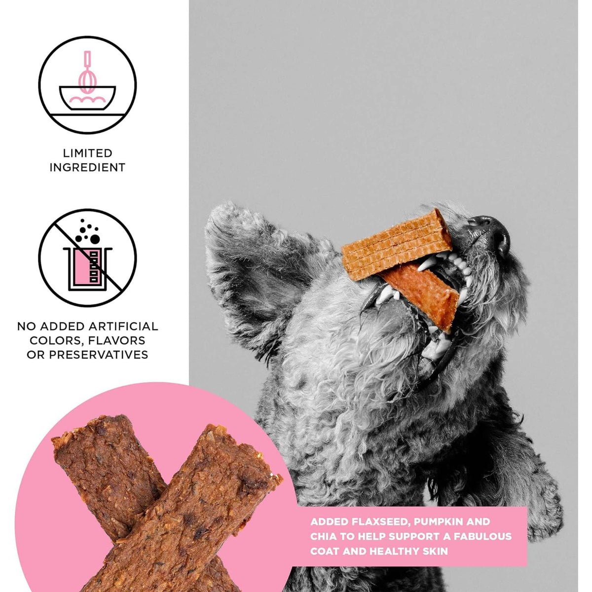 Bixbi Skin &amp; Coat Salmon Jerky Dog Treats