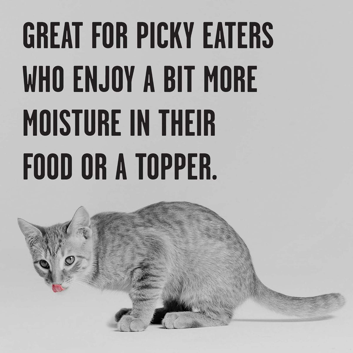 Bixbi Rawbble Paté Grain Free Kitten Chicken Canned Cat Food