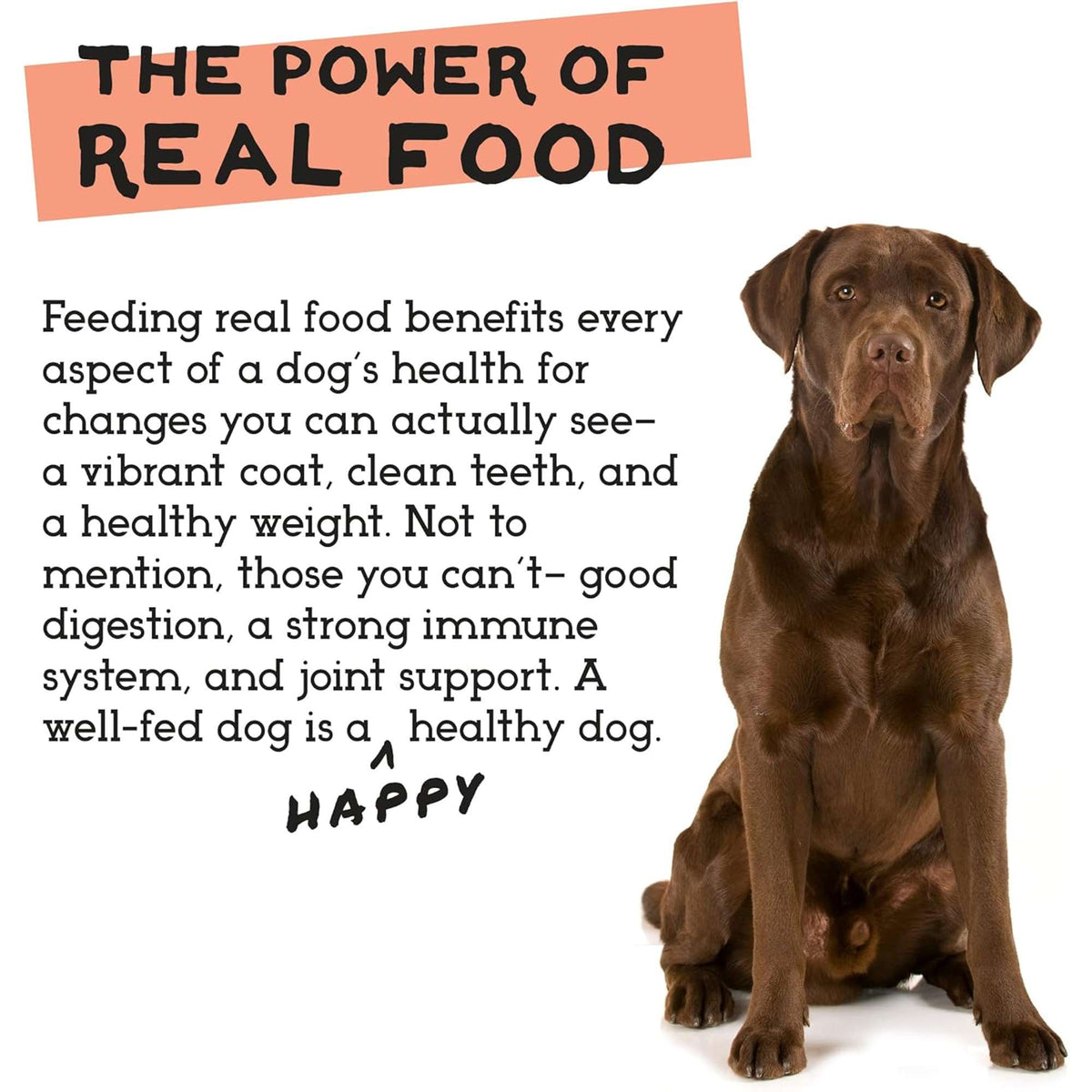The Simple Food Project Chicken &amp; Turkey Freeze-Dried Dog Food