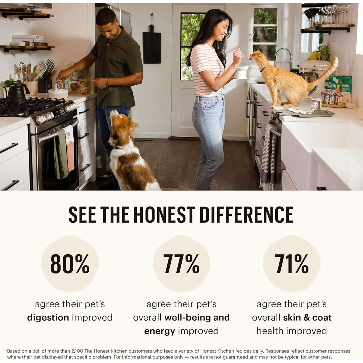 The Honest Kitchen Whole Grain Grains, Veggie &amp; Fruit Dog Food Base Mix