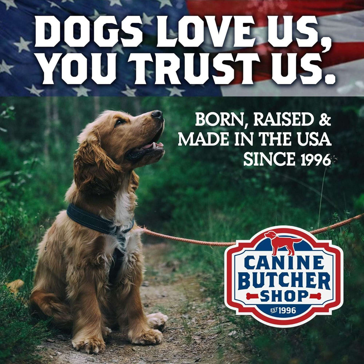 Canine Butcher Shop Grass-Fed Beef Curly Steer Stick Dog Chew