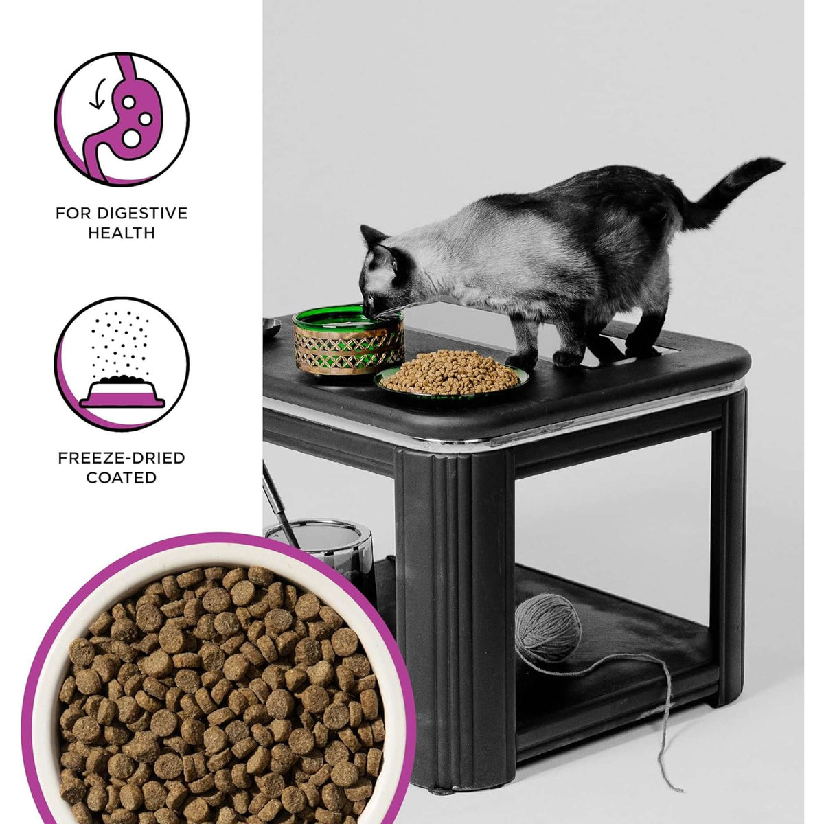 Bixbi Rawbble Freeze-Dried Raw Coated Grain Free Digestive Cat Health Chicken Cat Food
