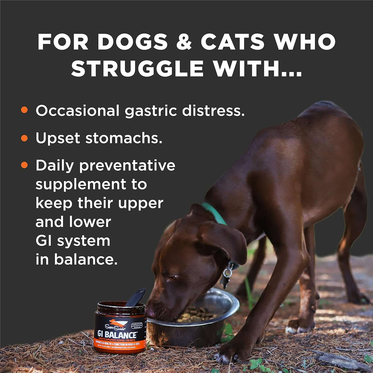 Super Snouts GI Balance Digestive Supplement for Dogs &amp; Cats