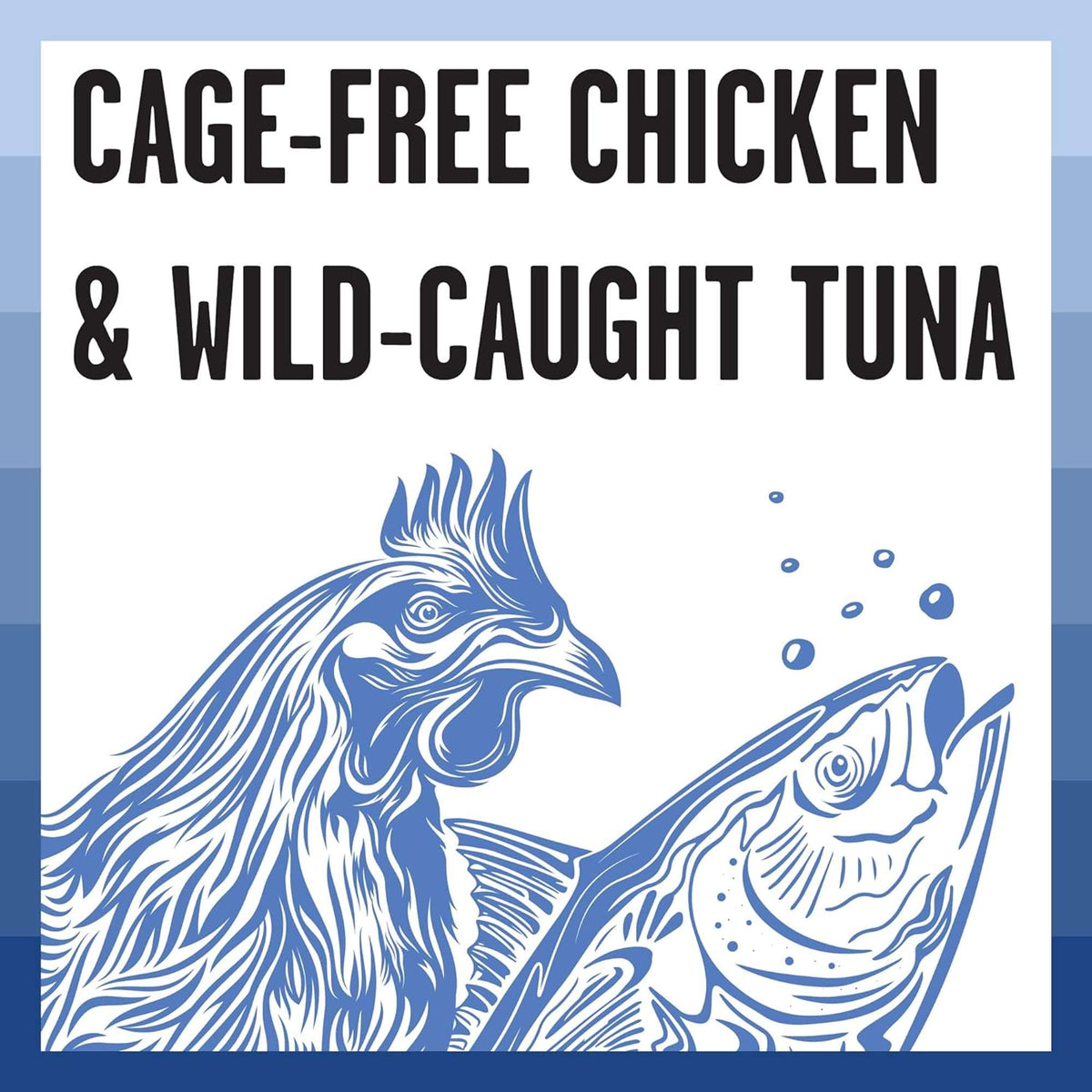 Bixbi Rawbble Shredded Grain Free Tuna &amp; Chicken Canned Cat Food