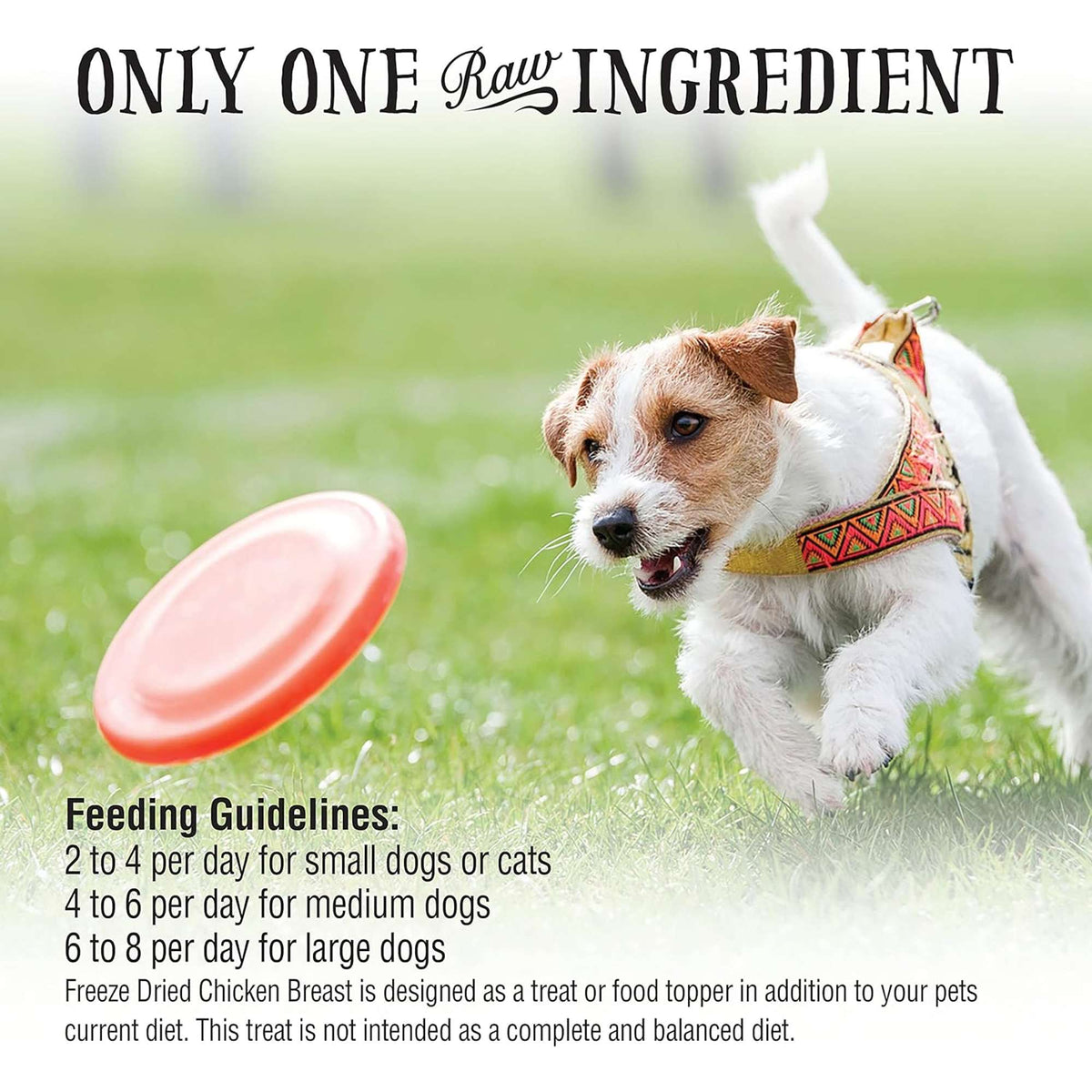 Northwest Naturals Raw Rewards Freeze-Dried Chicken Breast Dog &amp; Cat Treats