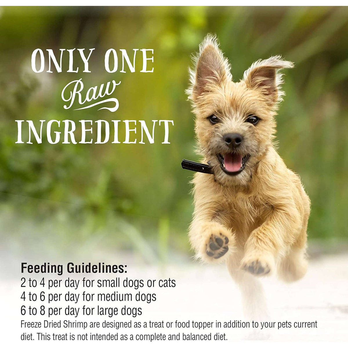 Northwest Naturals Raw Rewards Freeze-Dried Shrimp Dog &amp; Cat Treats
