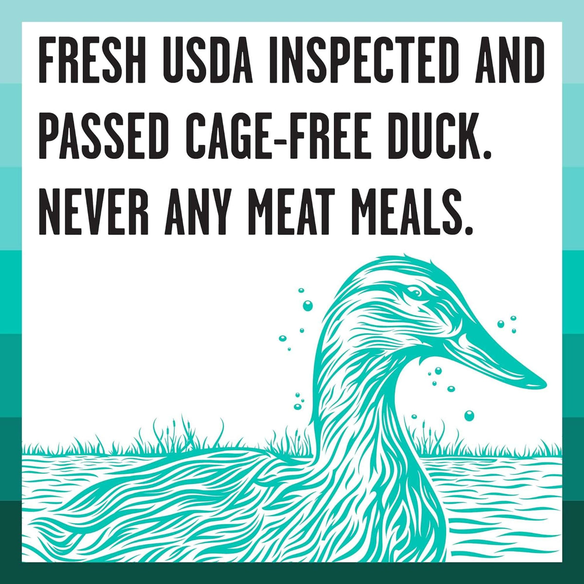 Bixbi Rawbble Freeze-Dried Raw Coated Grain Free Duck Dog Food