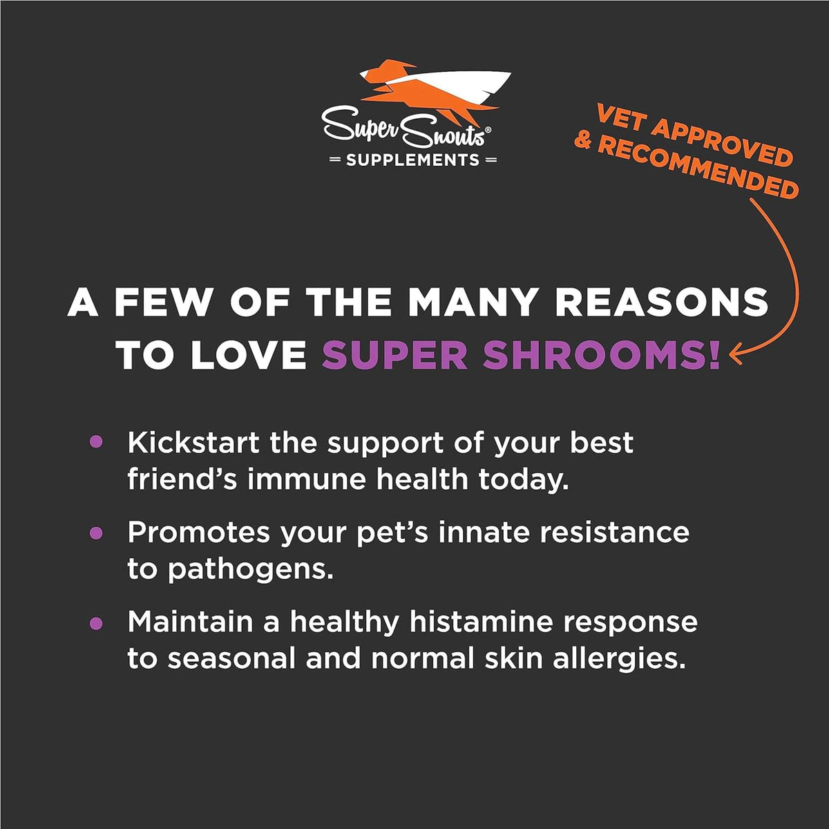 Super Snouts Super Shrooms Supplement for Dogs &amp; Cats