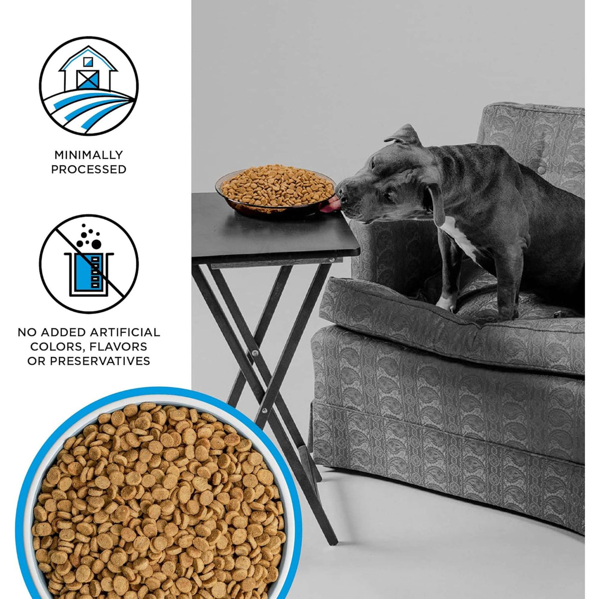 Bixbi Liberty Grain Free Fisherman Catch Dog Food