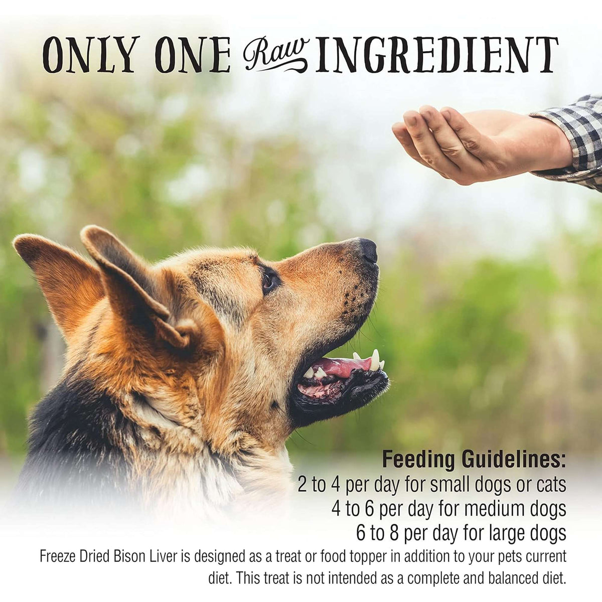Northwest Naturals Raw Rewards Freeze-Dried Bison Liver Dog &amp; Cat Treats