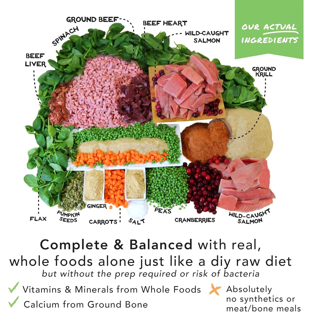 The Simple Food Project Beef &amp; Salmon Freeze-Dried Dog Food