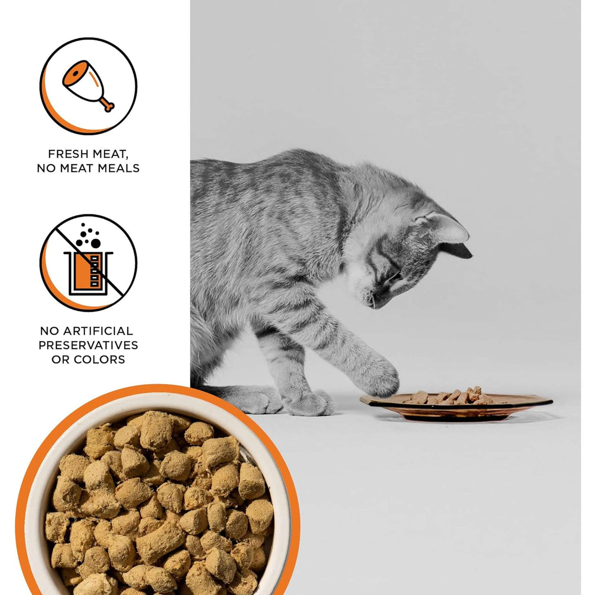 Bixbi Rawbble Freeze-Dried Grain Free Chicken Cat Food