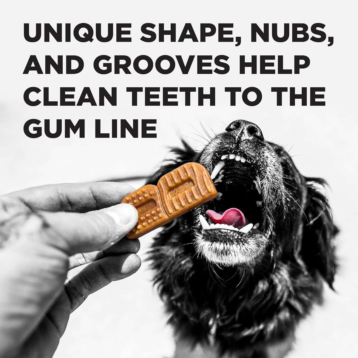Bixbi Brushers Dog Dental Chews