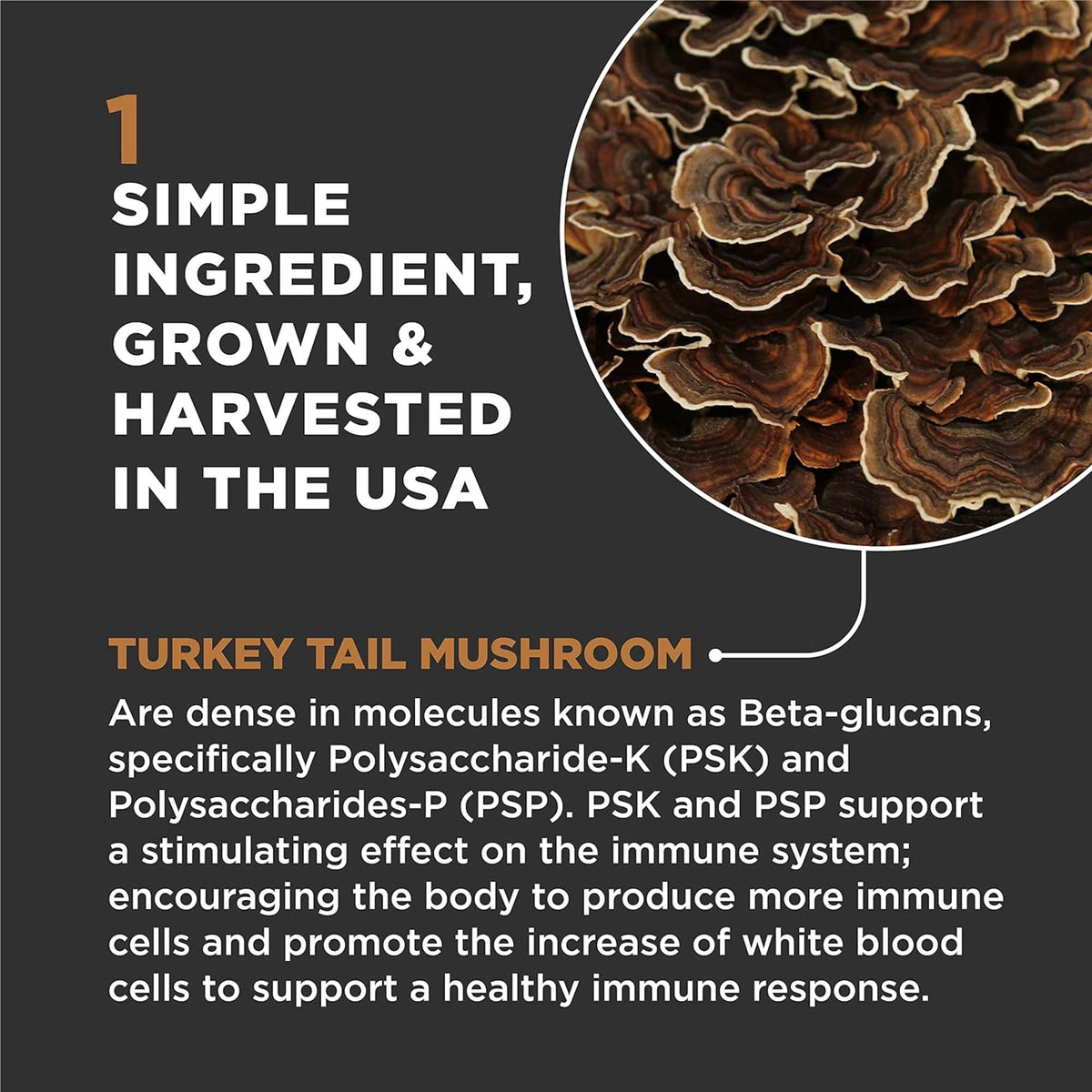 Super Snouts Turkey Tail Mushroom Supplement for Dogs and Cats