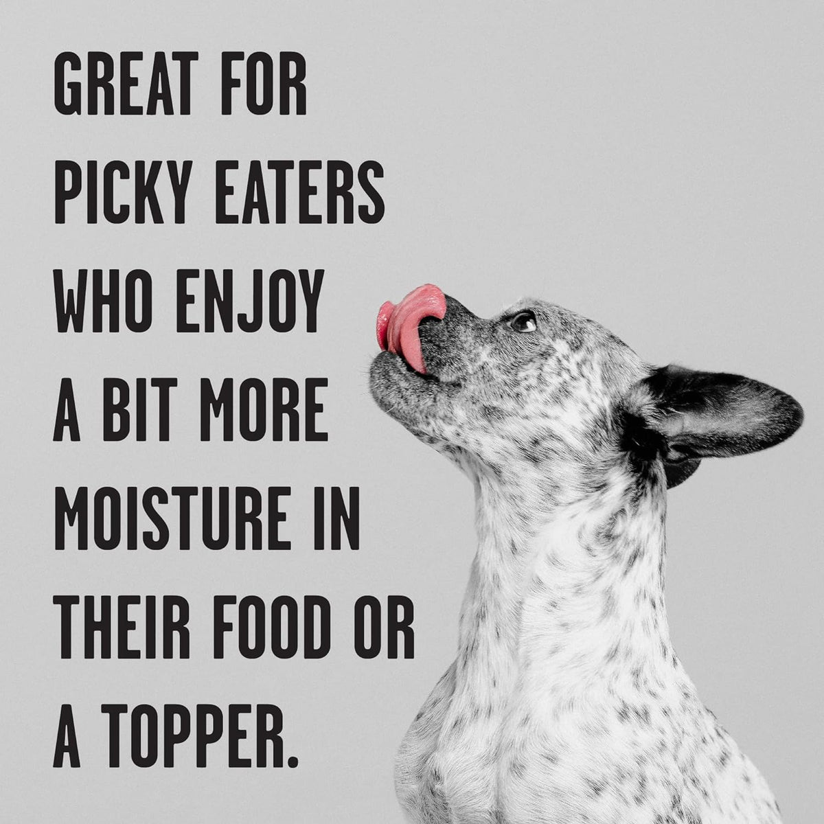 Bixbi Rawbble Grain Free Chicken with Pumpkin Canned Dog Food