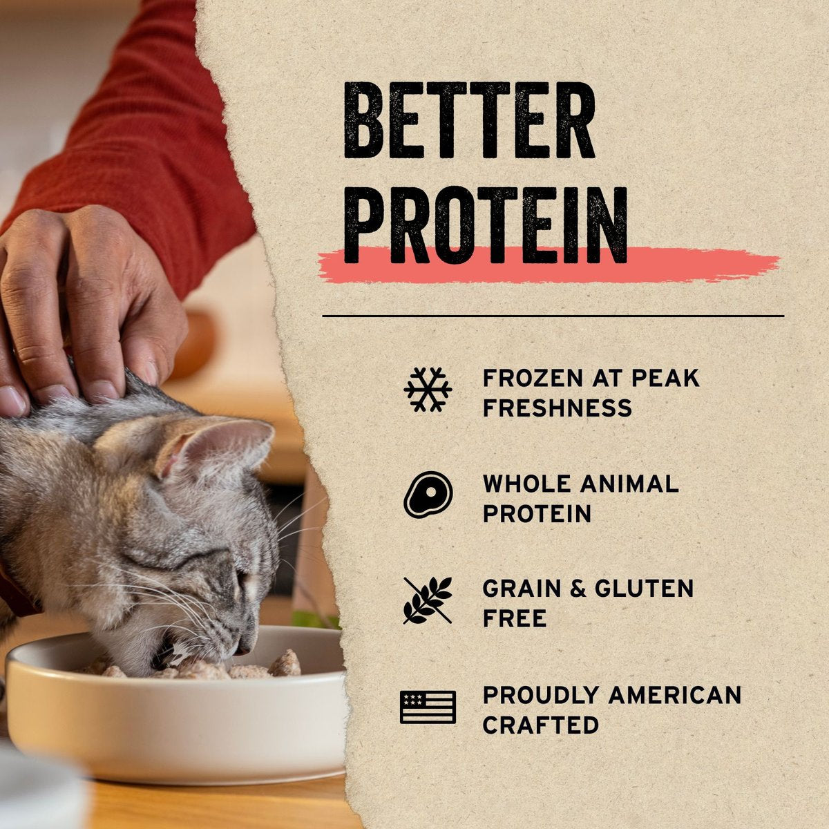 Vital Essentials Freeze-Dried Raw Pork Cat Food
