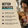 Vital Essentials Freeze-Dried Protein Mix-In Chicken Dog Meal Topper