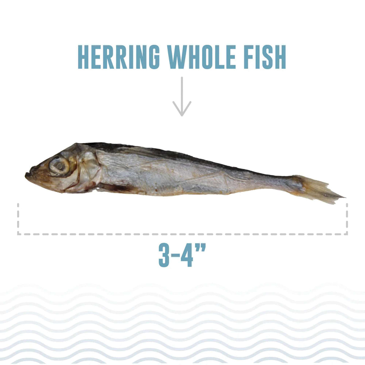 Icelandic+ Herring Whole Fish Cat Treats