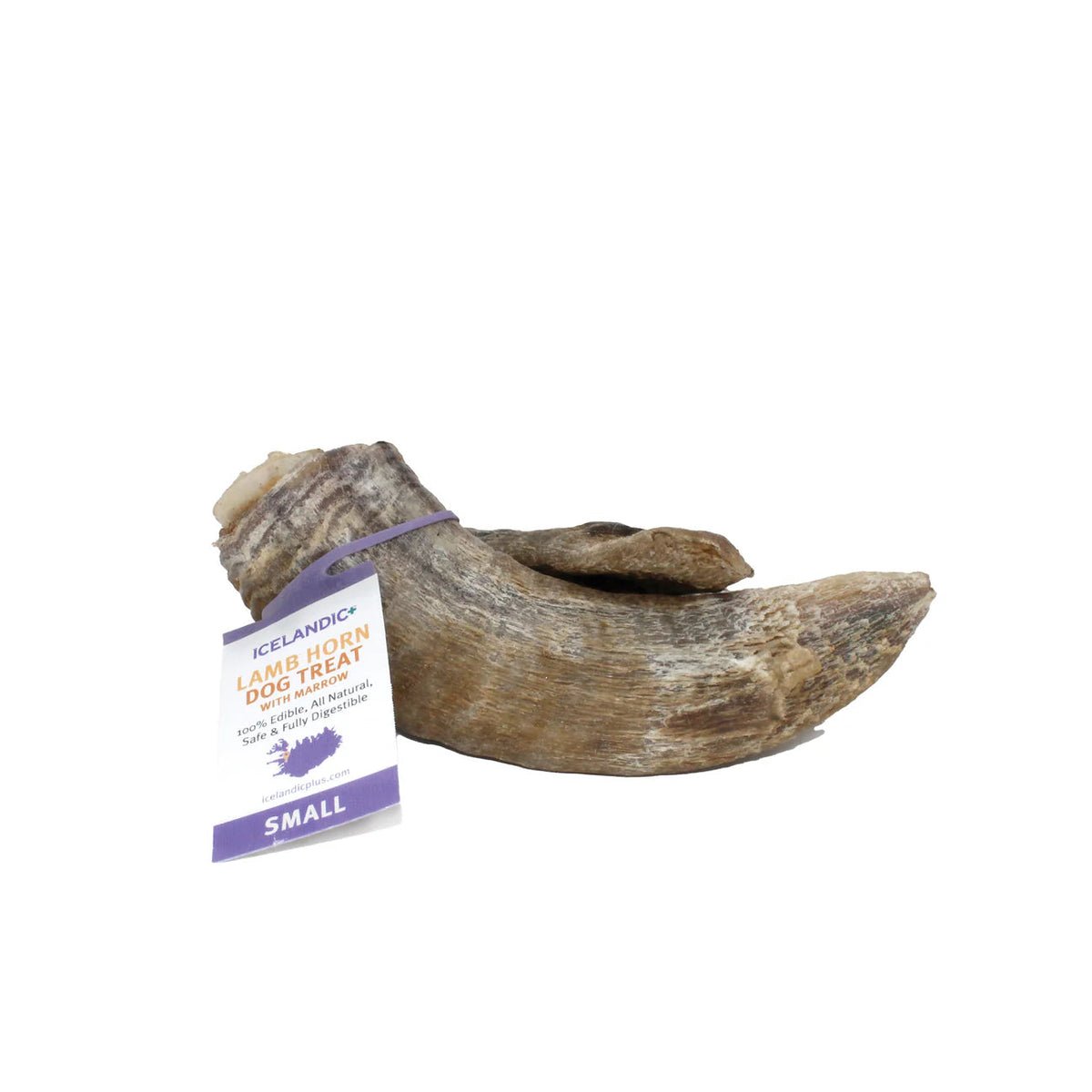 Icelandic+ Lamb Horn with Marrow Dog Chew