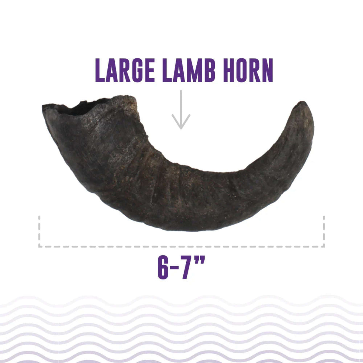 Icelandic+ Lamb Horn Dog Chew