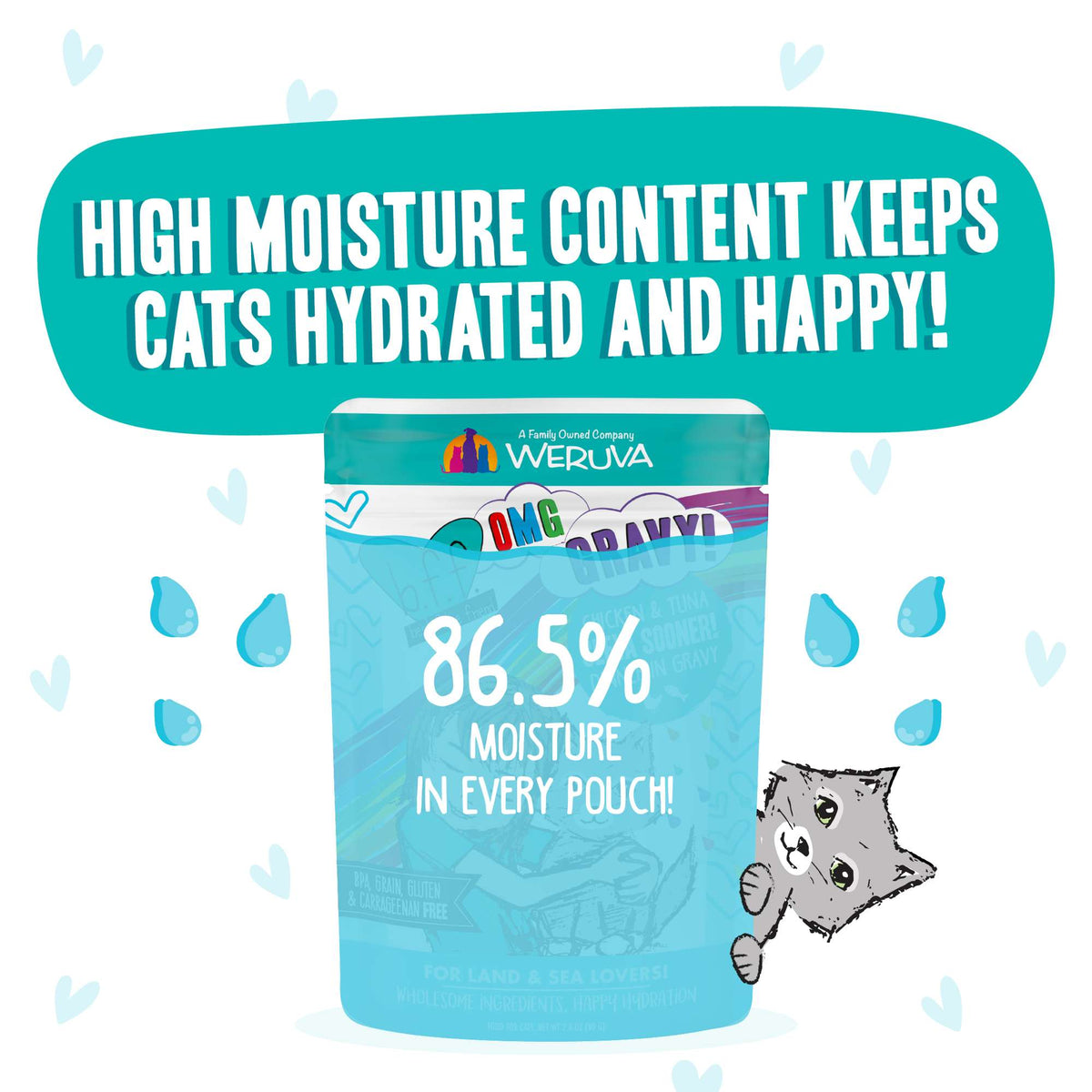 BFF OMG Gravy! Seeya Sooner! Chicken &amp; Tuna Cat Food Pouch