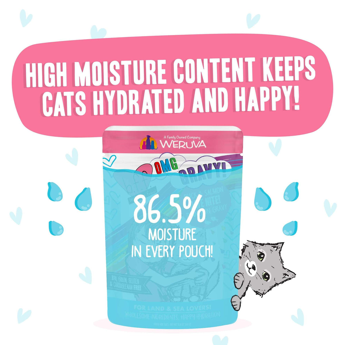 BFF OMG Gravy! Date Nite! Duck &amp; Salmon Cat Food Pouch