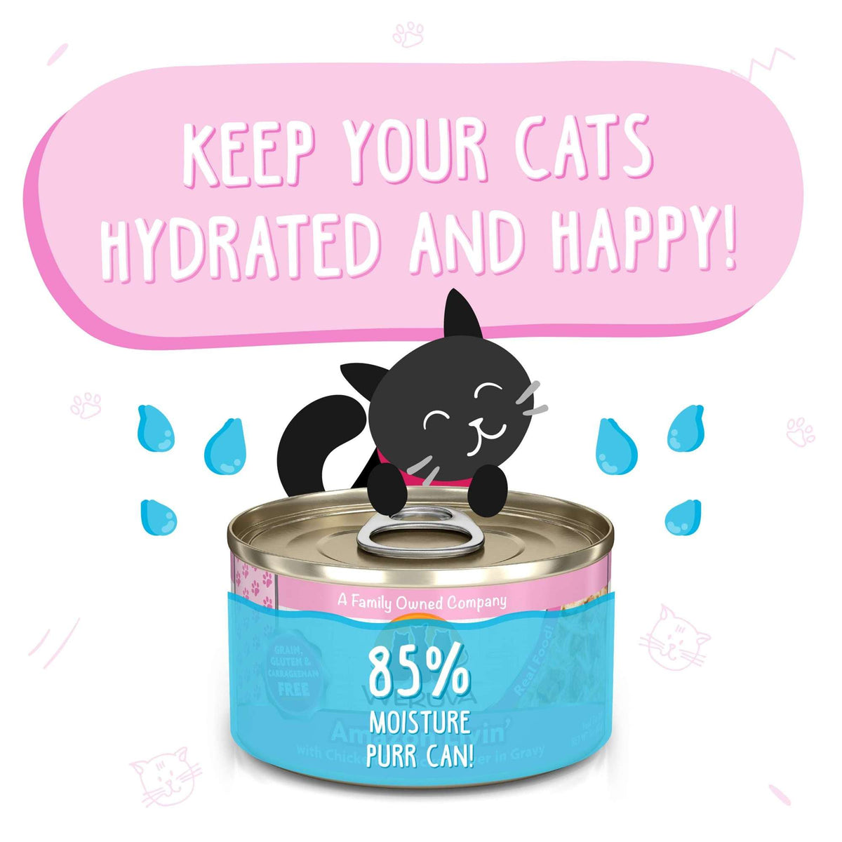 Weruva Amazon Livin&#39; Chicken &amp; Chicken Liver Canned Cat Food