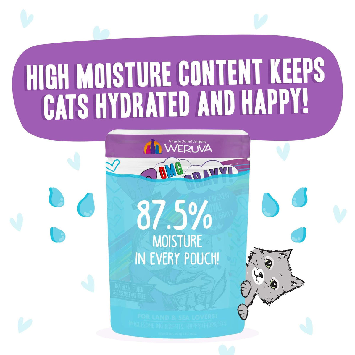 BFF OMG Gravy! Booya! Beef &amp; Chicken Cat Food Pouch