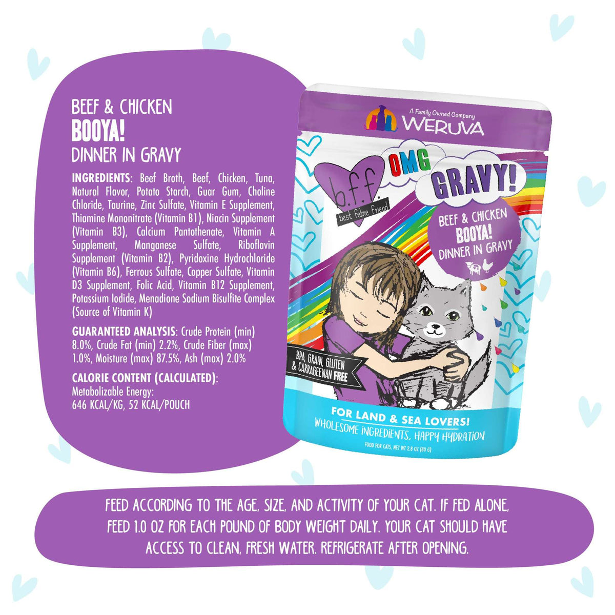 BFF OMG Gravy! Booya! Beef &amp; Chicken Cat Food Pouch
