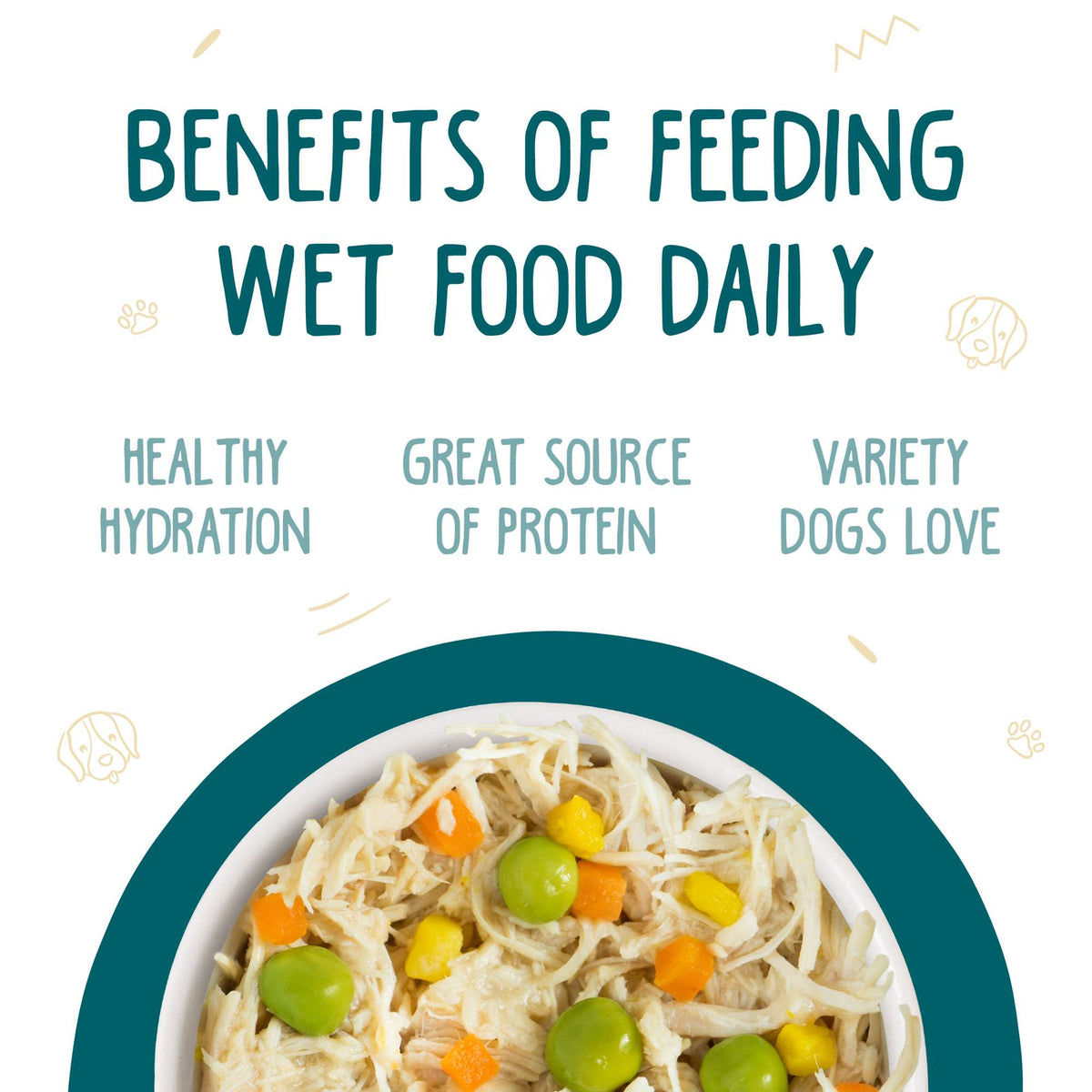 Weruva Funky Chunky Chicken Soup with Pumpkin Canned Dog Food