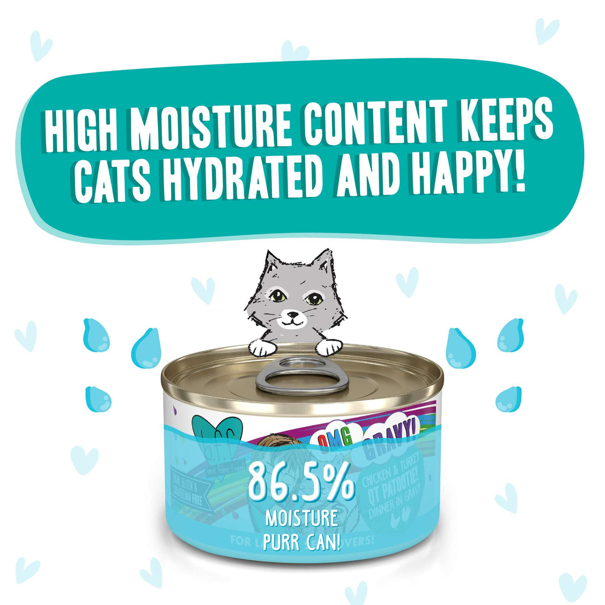 BFF OMG Gravy! QT Patootie! Chicken &amp; Turkey Canned Cat Food