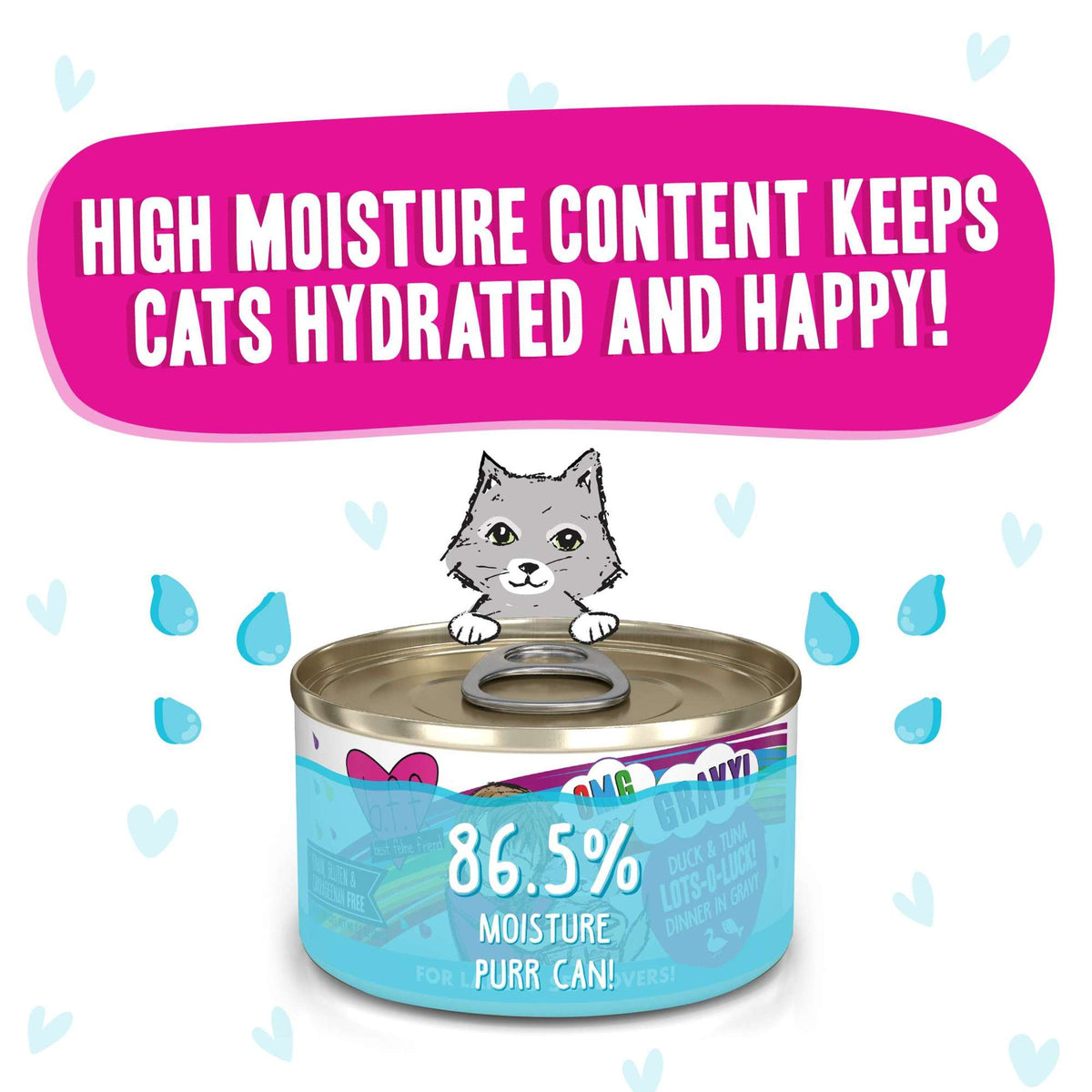 BFF OMG Gravy! Lots-O-Luck! Duck &amp; Tuna Canned Cat Food
