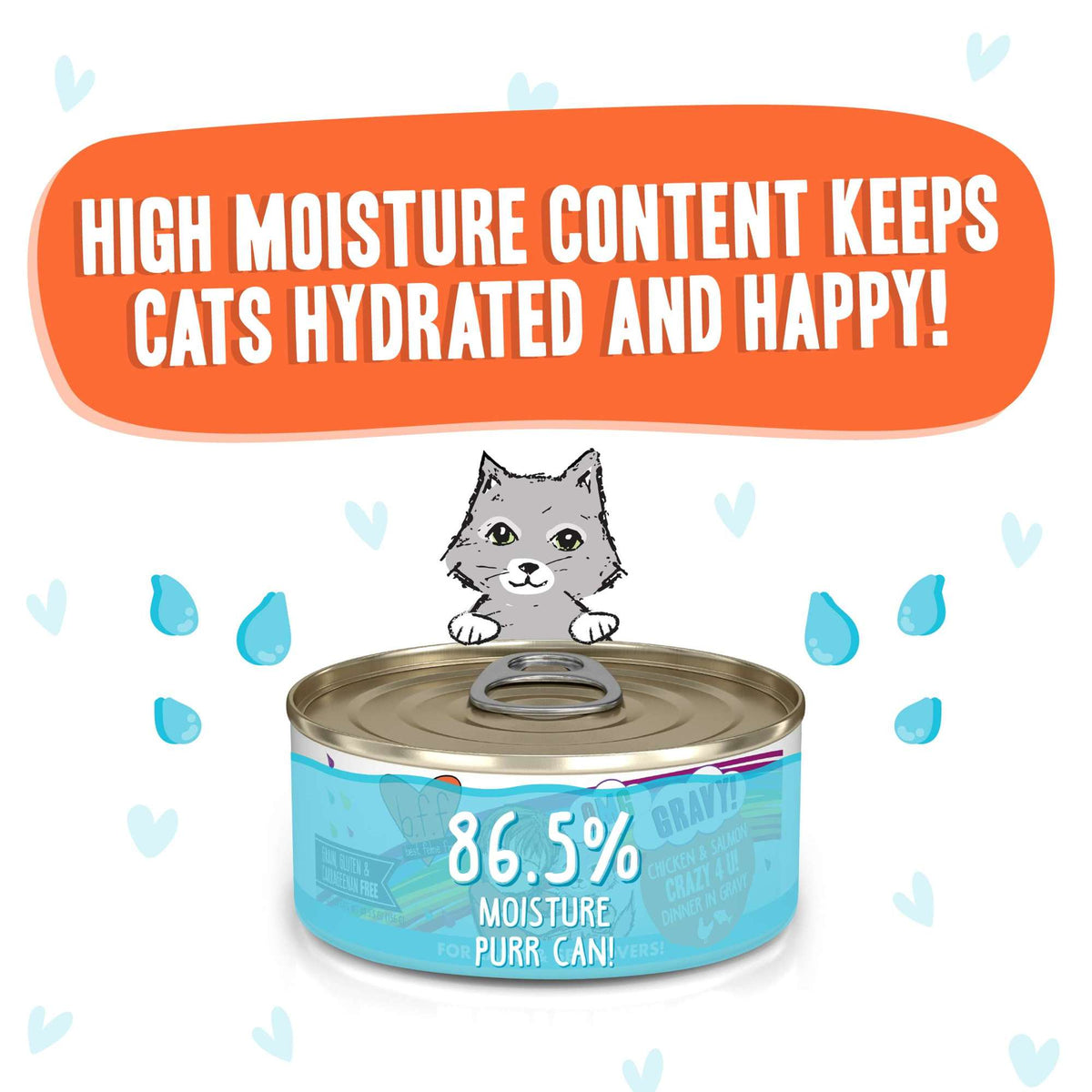 BFF OMG Gravy! Crazy 4 U! Chicken &amp; Salmon Canned Cat Food