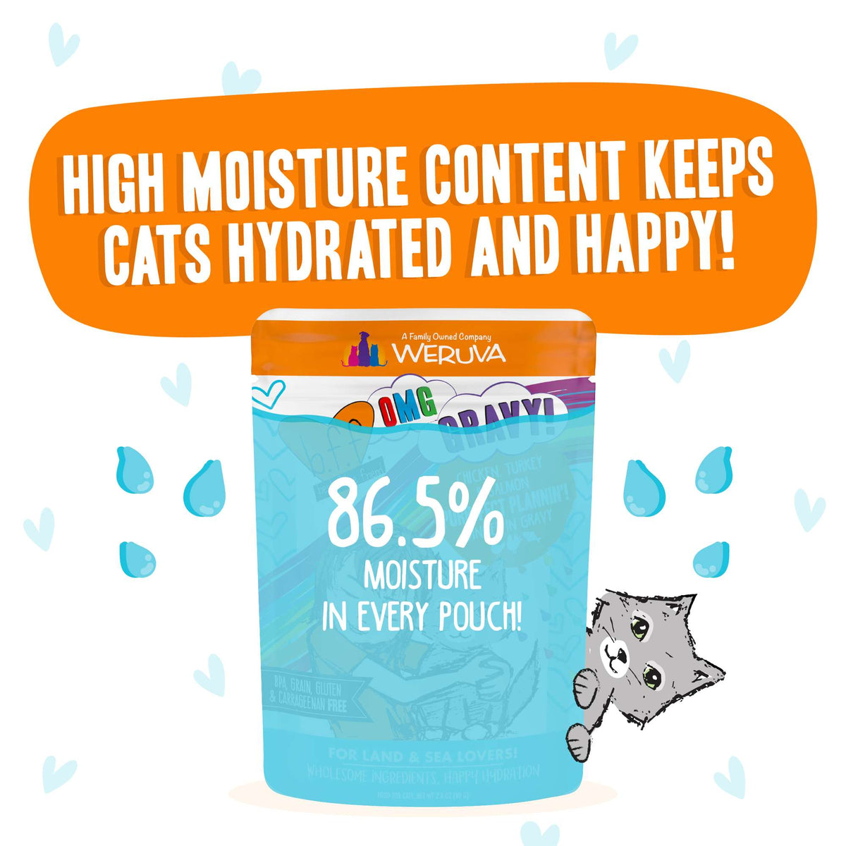 BFF OMG Gravy! Purr-fe Count Plannin&#39; Chicken, Turkey &amp; Salmon Cat Food Pouch